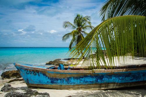 cruise-2012-14